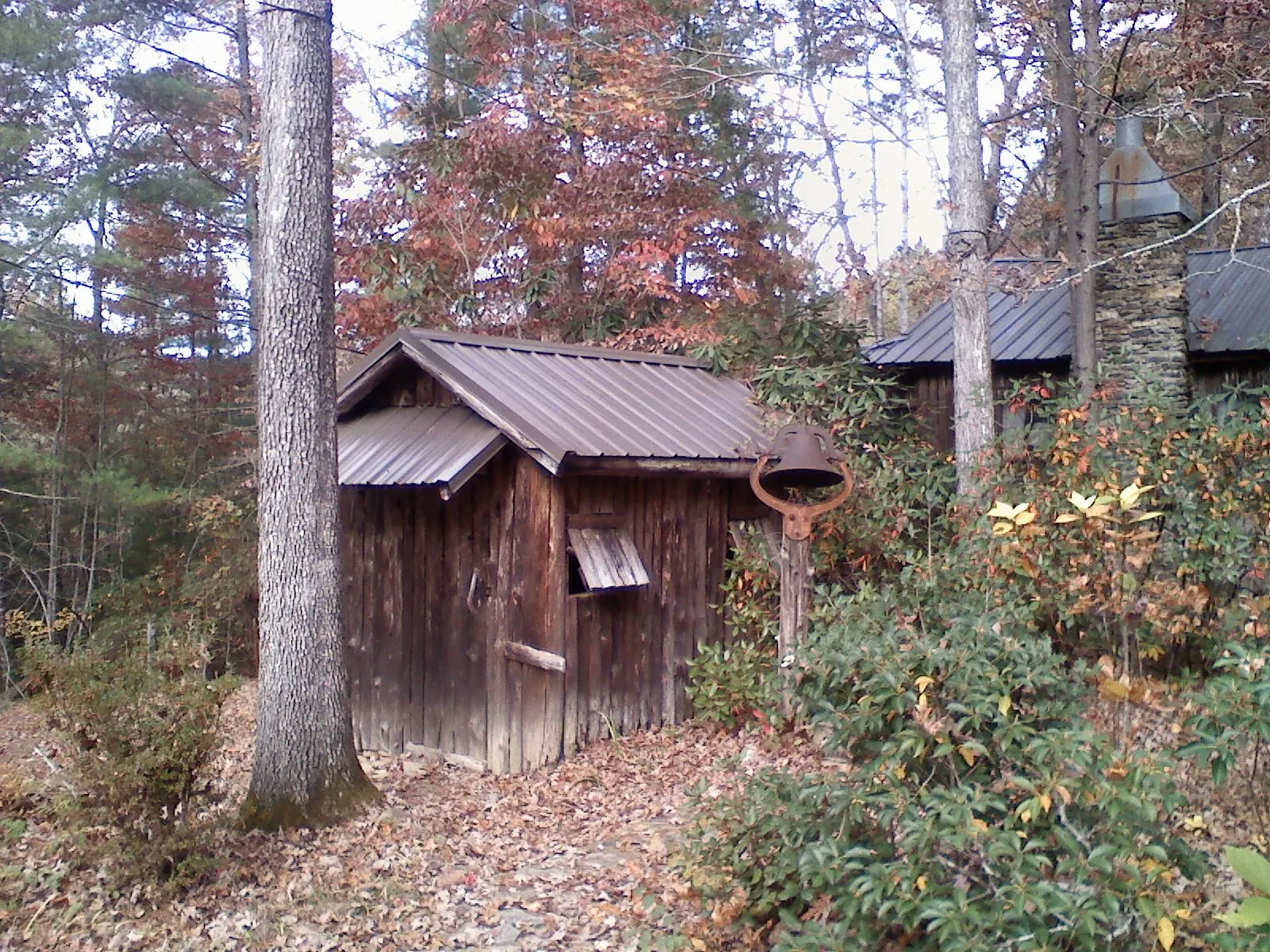 Small metal roof on a rough sawn shed in the woods in Skippack